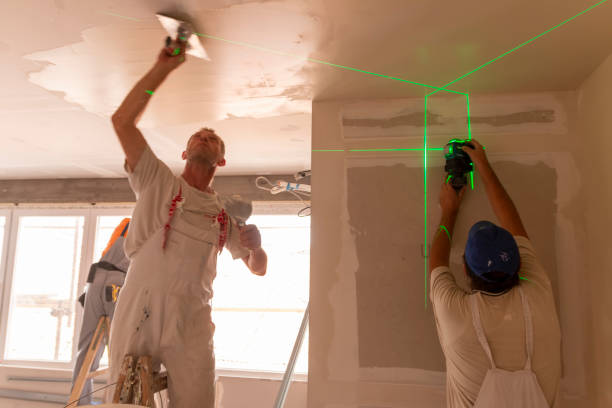 Best Water-Damaged Drywall Repair  in Trinidad, CO